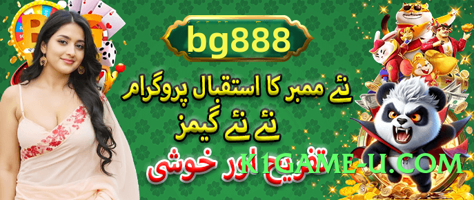 winpk Rocket v7.1.0 2025 Screenshot 2